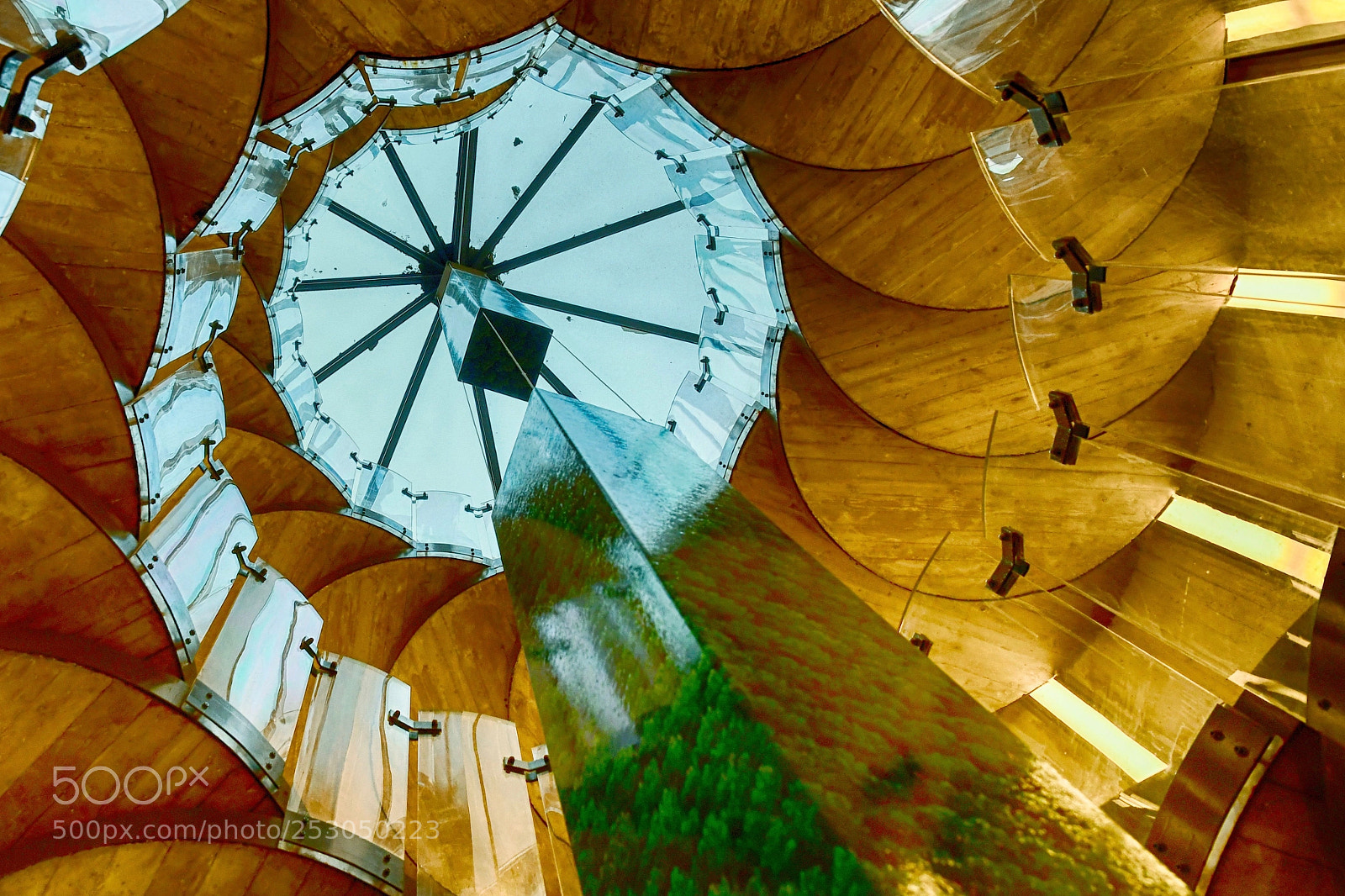 Nikon D500 sample photo. Search for golden spiral photography