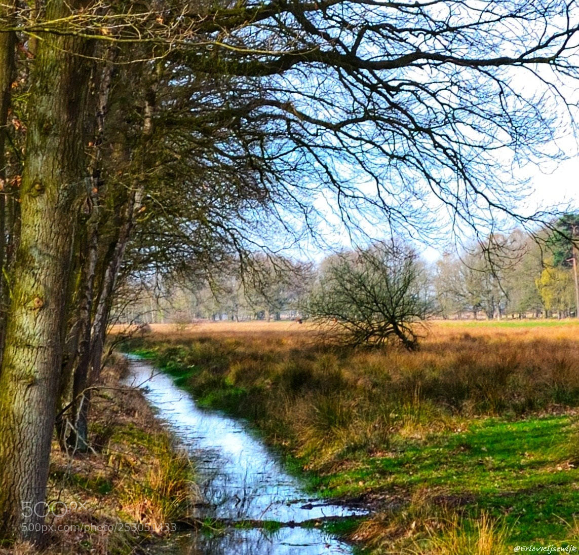Nikon D3100 sample photo. Kampina, boxtel photography