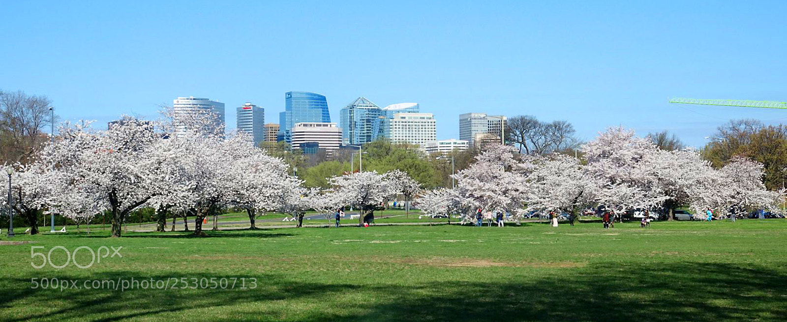 Sony Cyber-shot DSC-RX10 III sample photo. Dsc photography