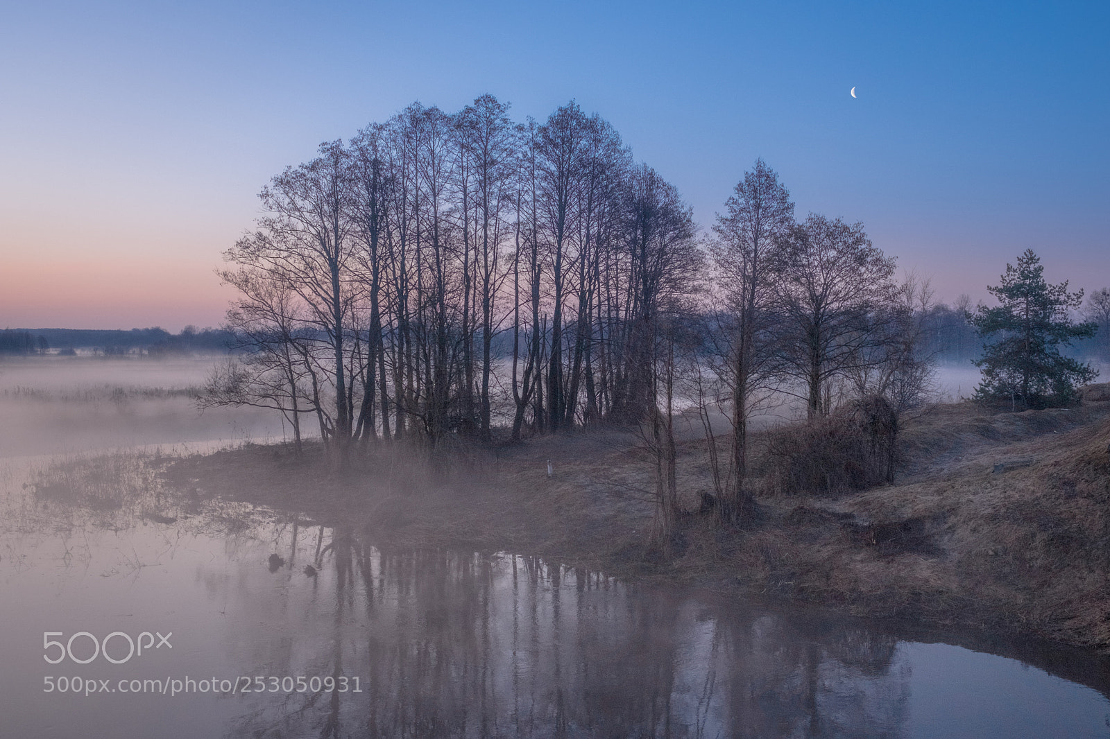 Fujifilm X-T20 sample photo. Fog sunrise photography
