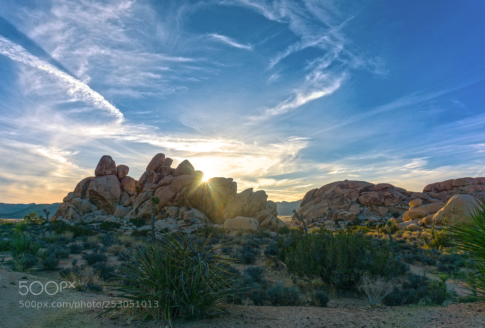 Sony a6000 sample photo. Sunset joshua tree photography