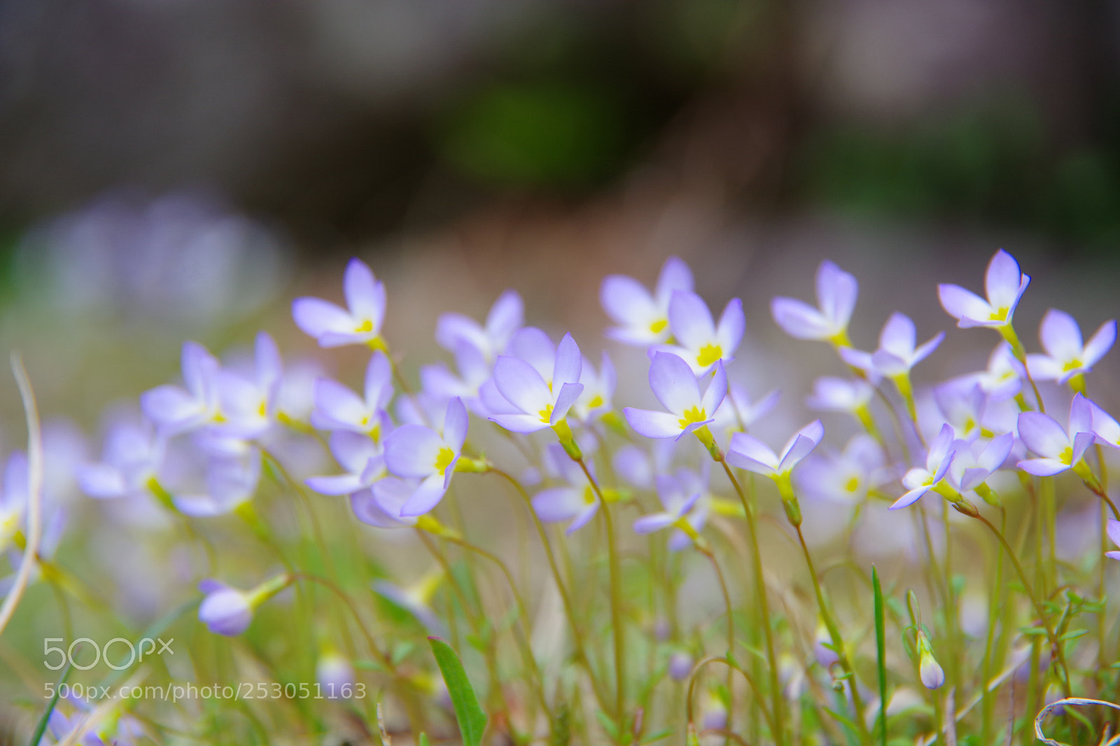 Pentax K-70 sample photo. Untitled photography
