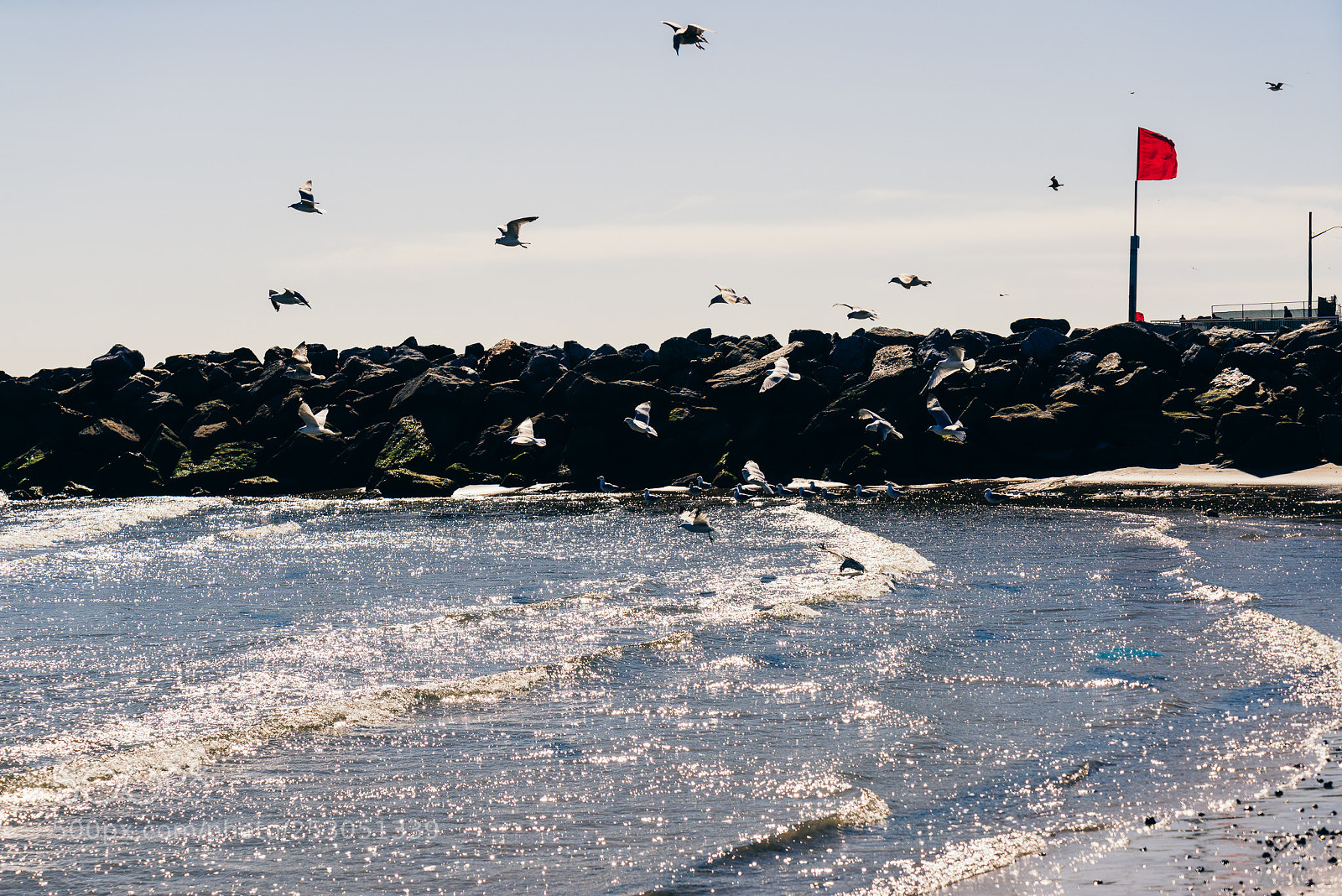 Sony a7R sample photo. Can you hear the photography