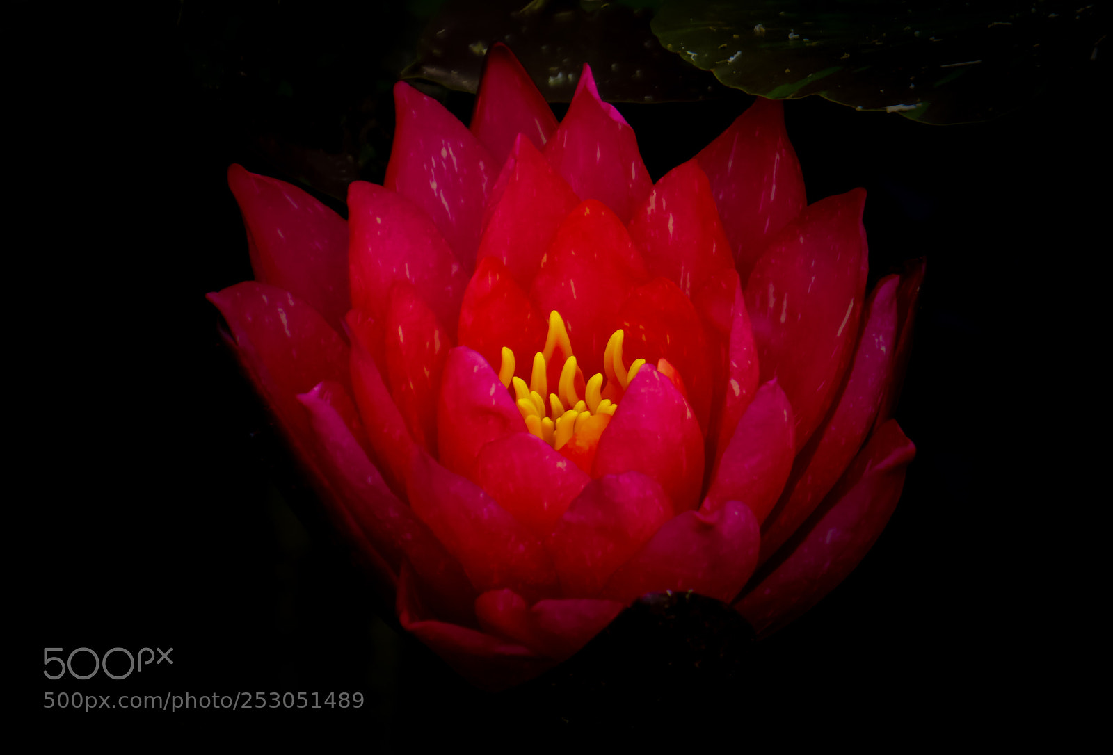Sony a6000 sample photo. Beauty in the dark photography