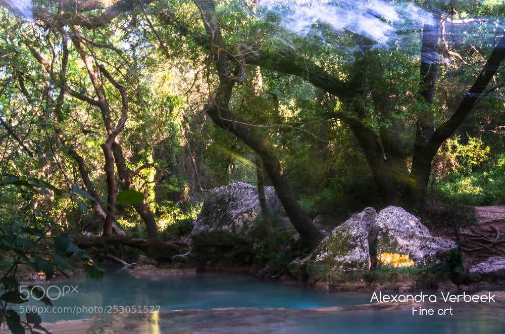 Nikon D7100 sample photo. Misty sunlight photography