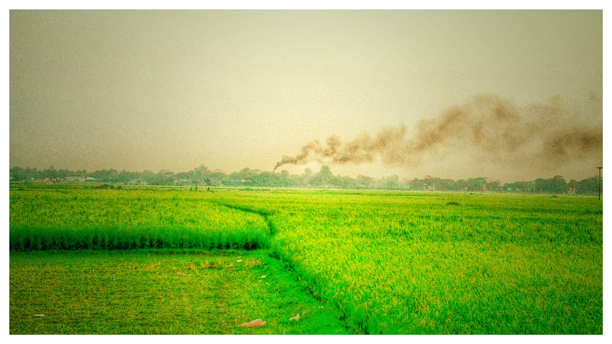 HUAWEI Y541-U02 sample photo. Air pollution.... smoke...! photography