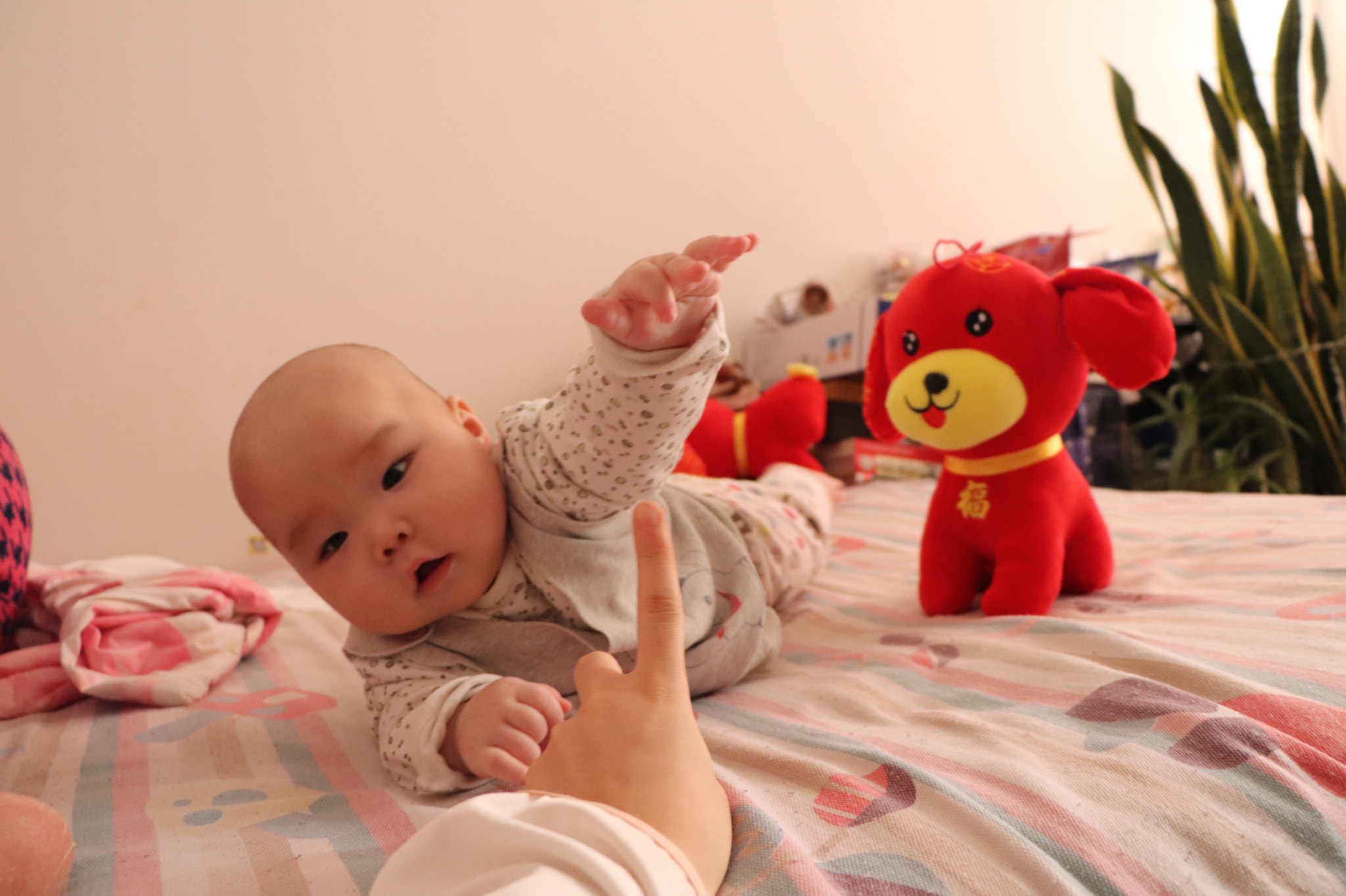 Canon EOS 77D (EOS 9000D / EOS 770D) sample photo