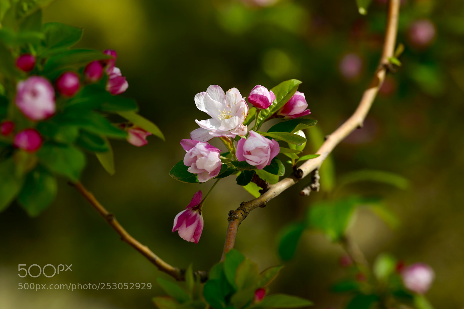 Leica SL (Typ 601) sample photo. Untitled photography