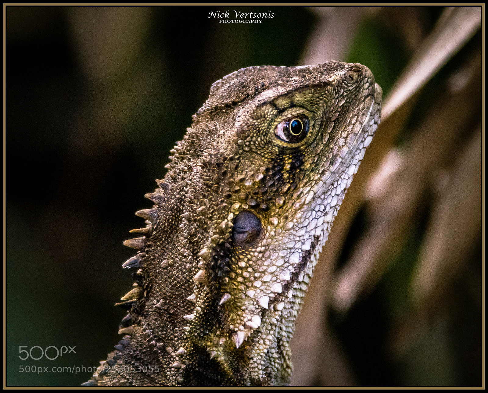 Nikon D7200 sample photo. The eye... photography