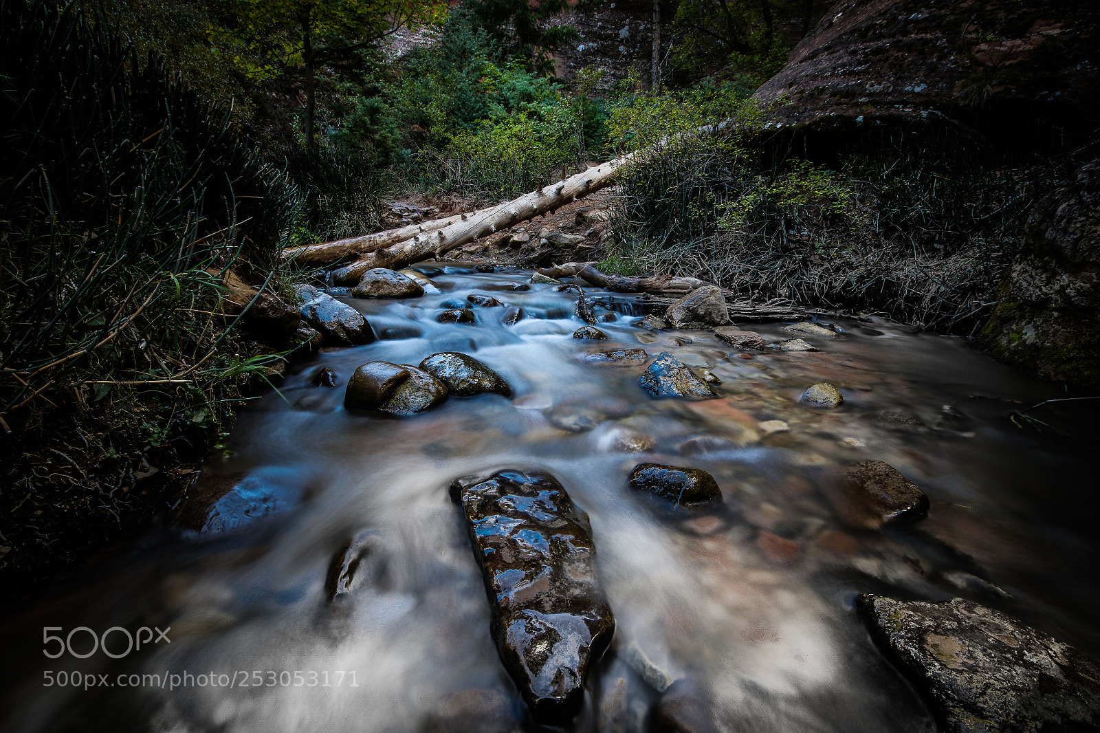 Canon EOS 5DS sample photo. Flow photography