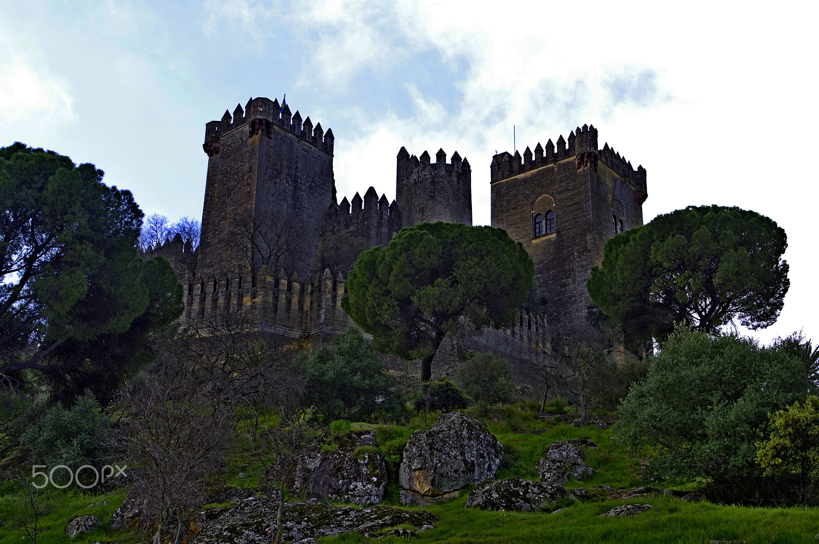 Pentax K-r + Sigma Lens (3 255) sample photo. Castillo almodovar photography