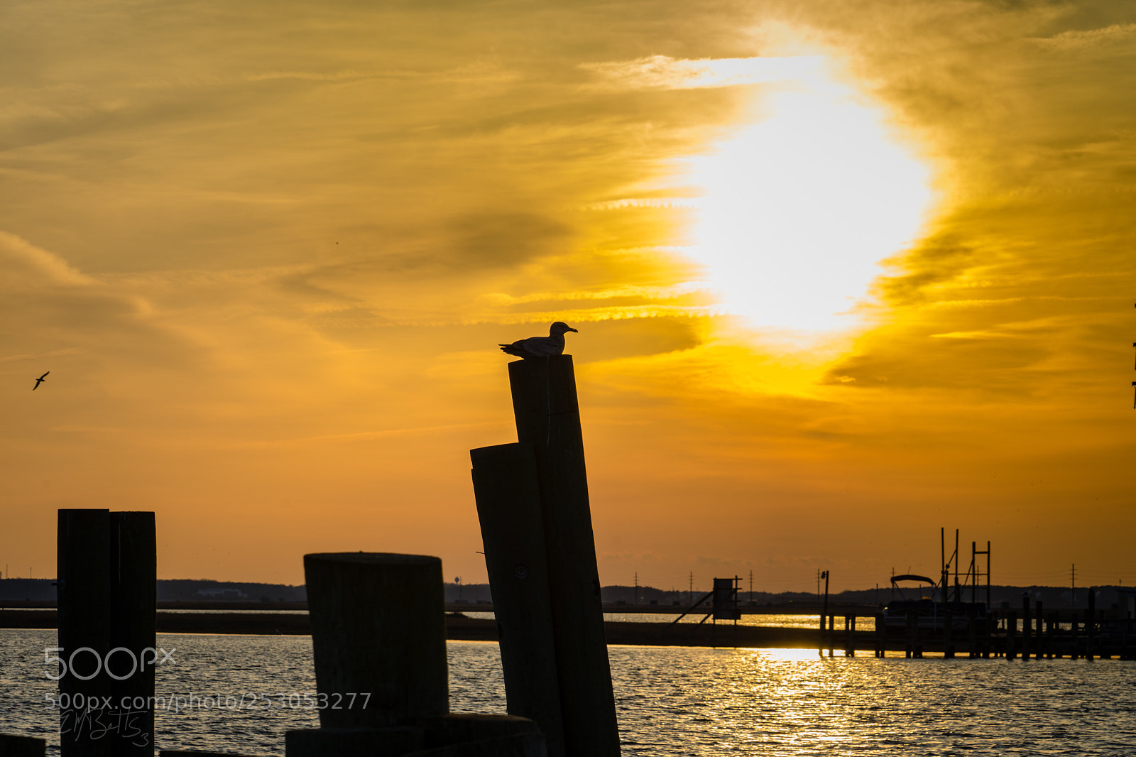 Sony a7 II sample photo. Untitled photography