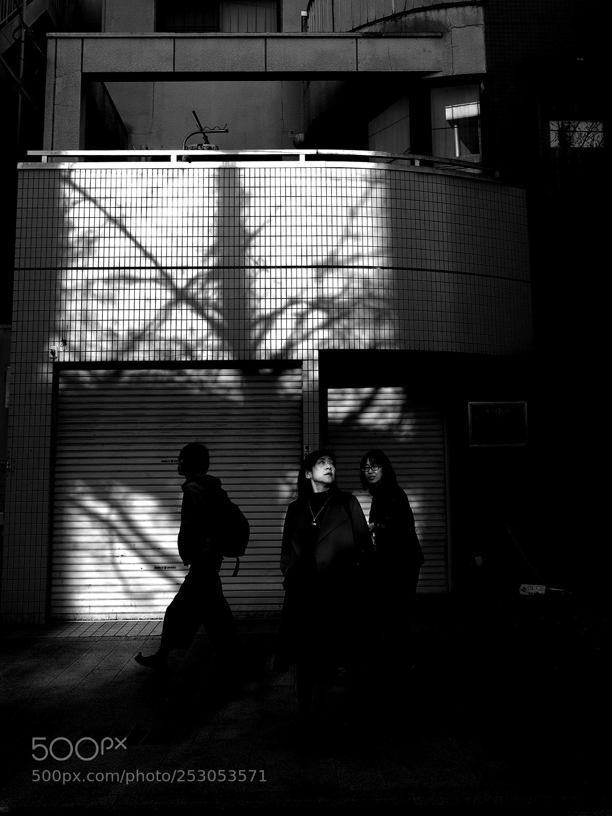 Olympus OM-D E-M1 sample photo. Light and shadow#10 photography