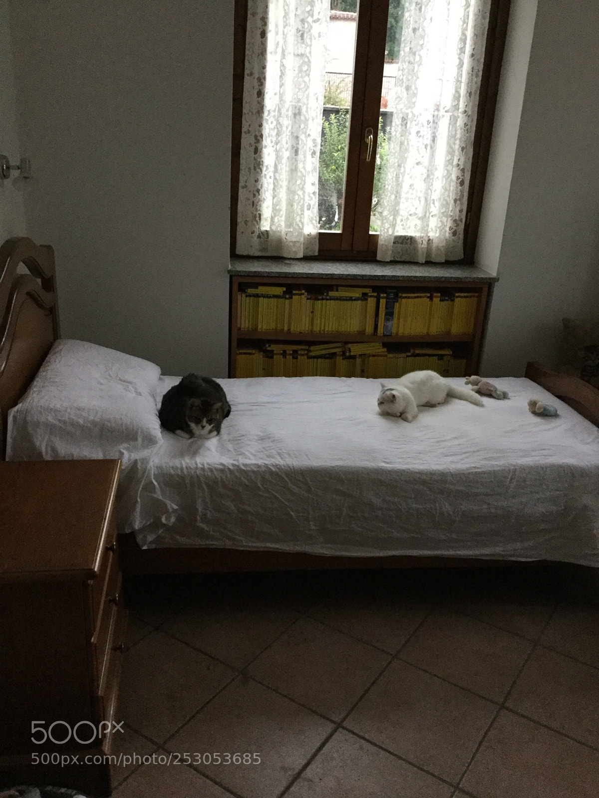 Apple iPad Air 2 sample photo. Untitled photography