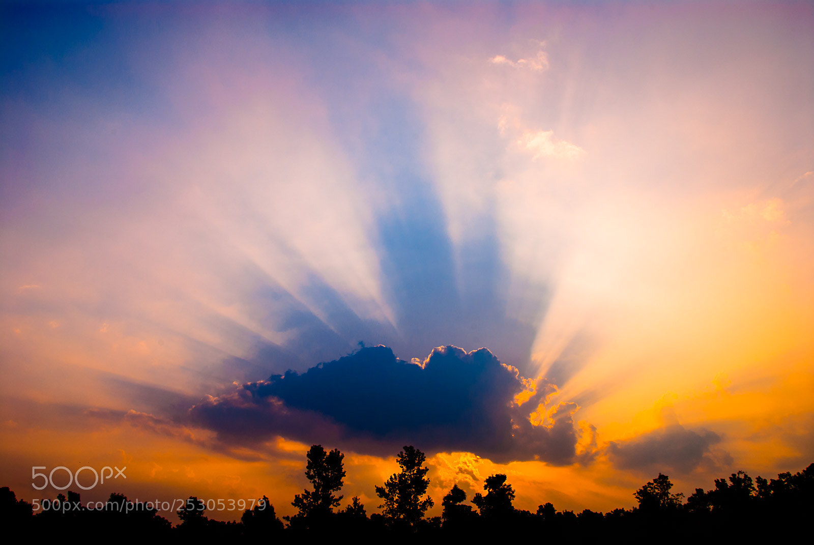 Nikon D200 sample photo. Nature photography