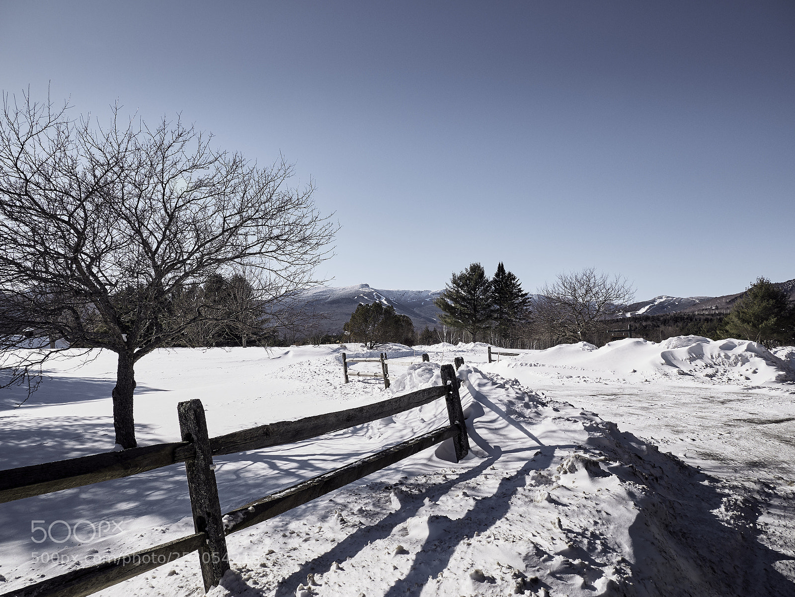 Panasonic Lumix DMC-G85 (Lumix DMC-G80) sample photo. Winter escapes 6 photography