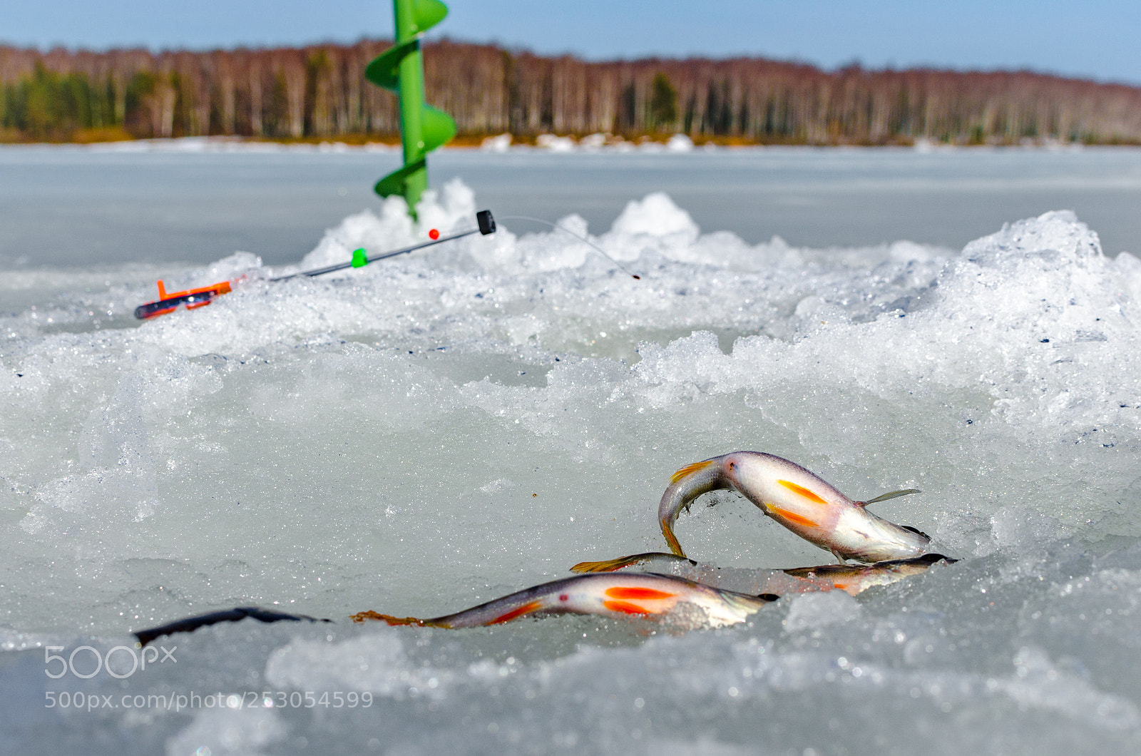 Nikon D7000 sample photo. Winter fishing from the photography