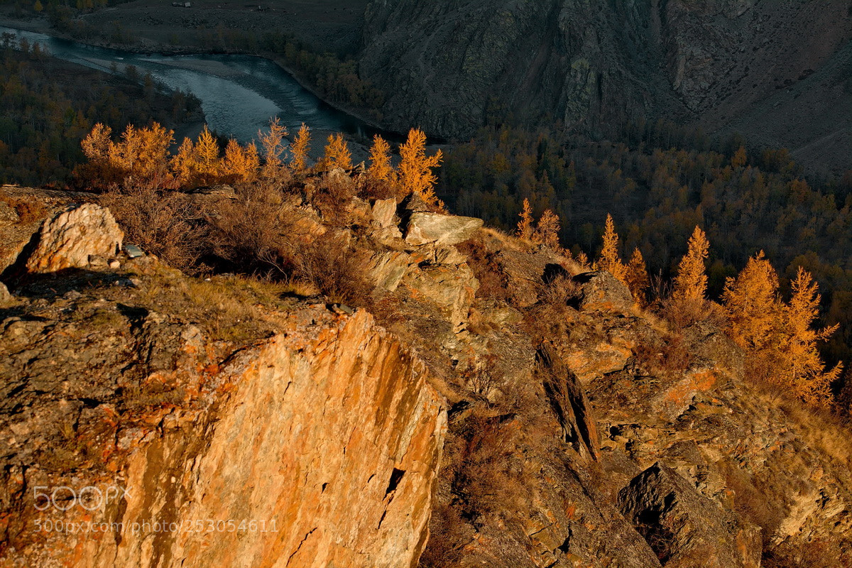 Fujifilm X-T1 sample photo. Russia. the south of photography