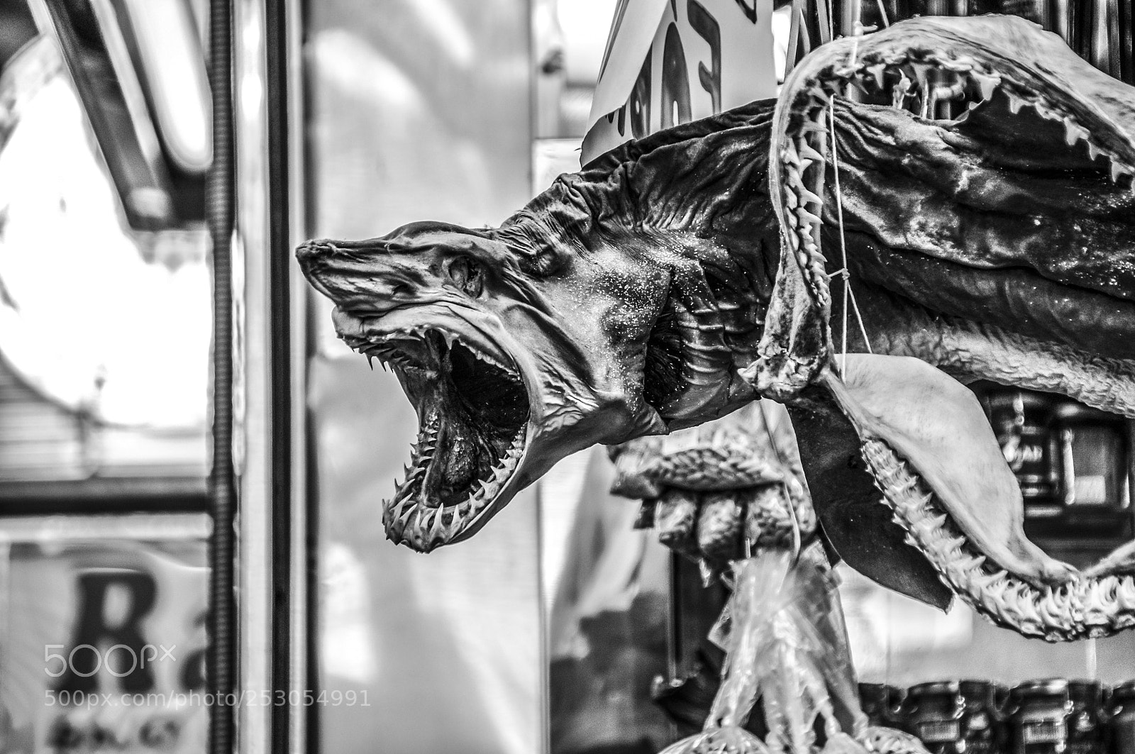 Nikon D90 sample photo. Dried shark photography
