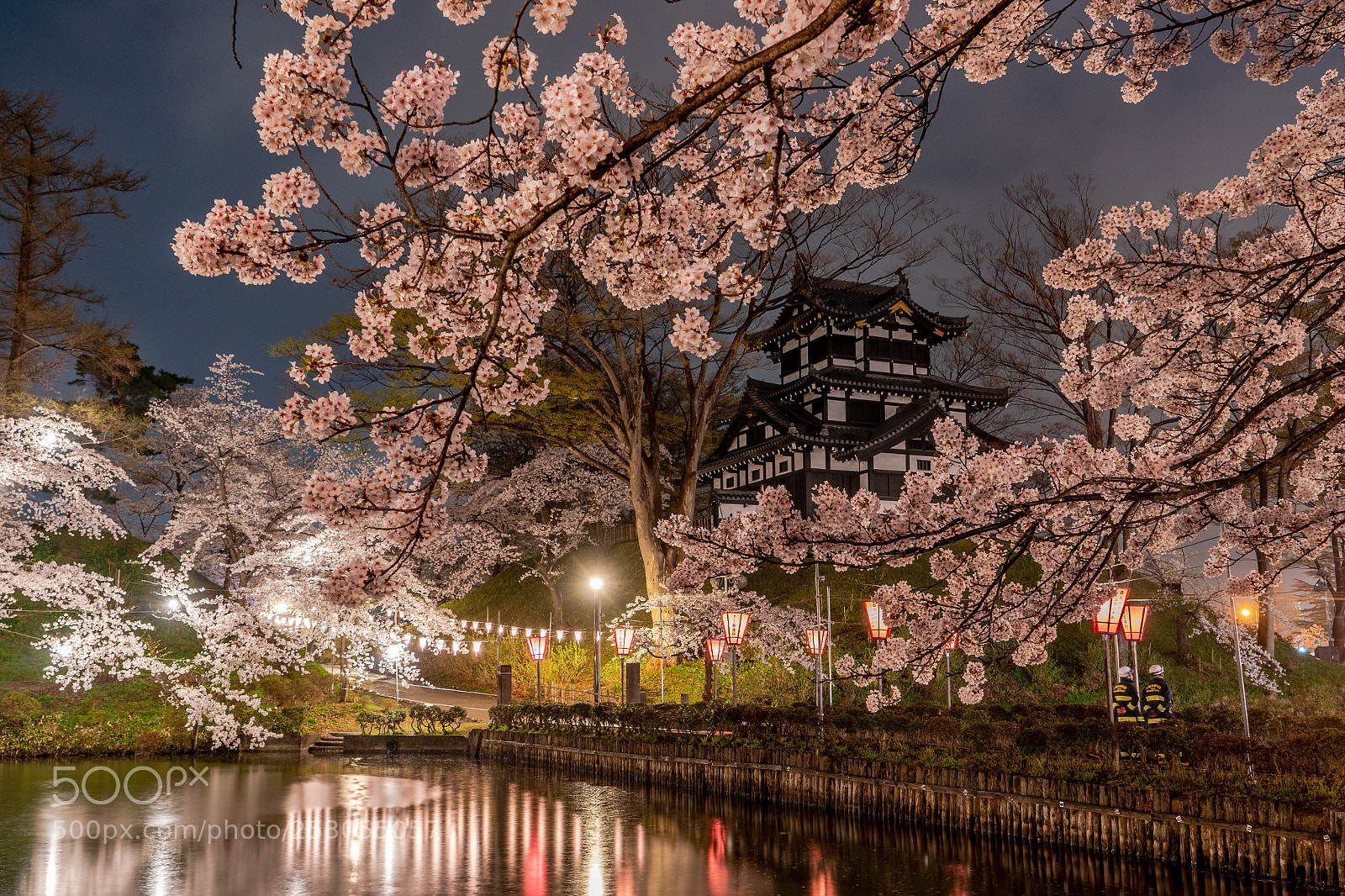 Sony a7 III sample photo. Takada sakura photography