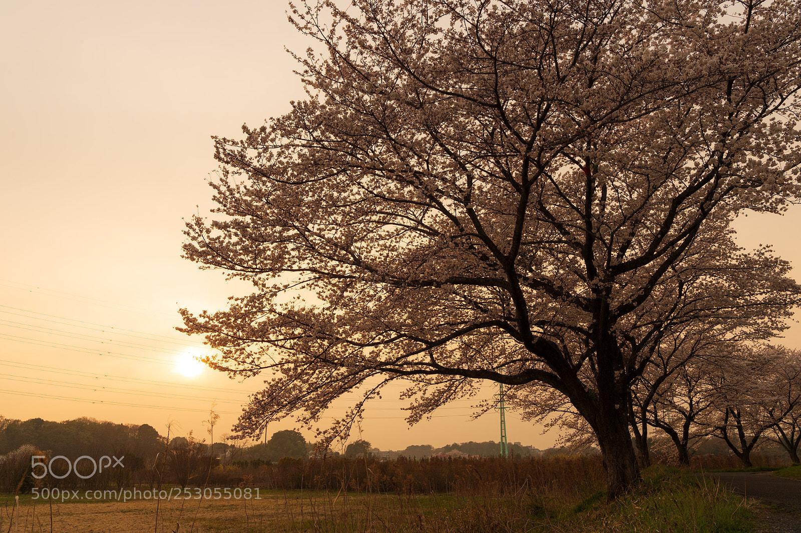 Nikon Df sample photo. Best of my life photography