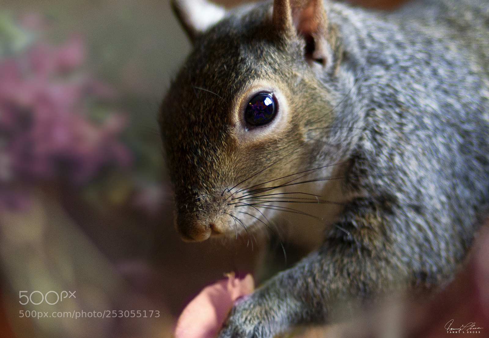 Canon EOS 7D sample photo. Flower breakfast photography