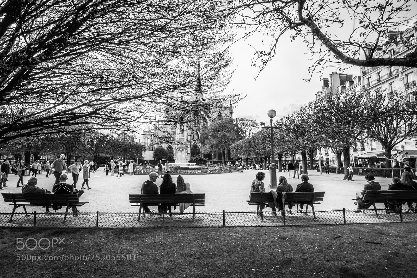Nikon D7200 sample photo. Streetlife photography