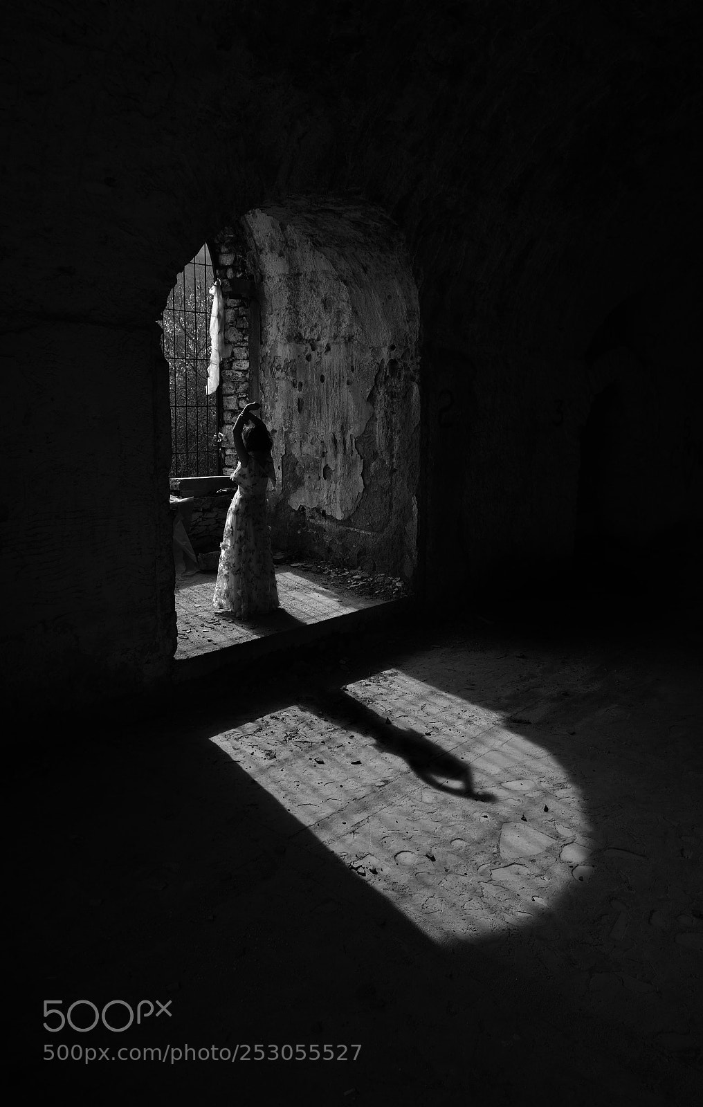 Nikon D810 sample photo. Window light photography