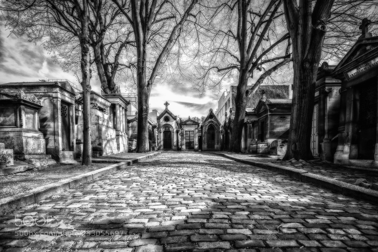 Nikon D7200 sample photo. Streetlife photography