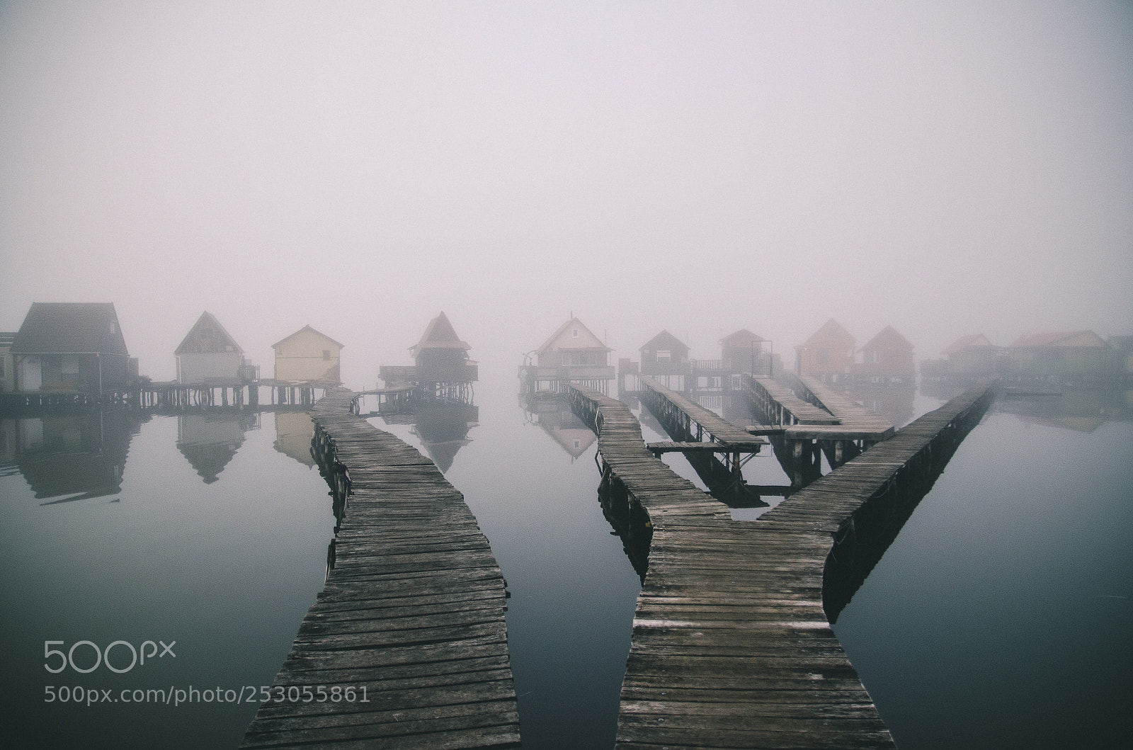 Nikon D7000 sample photo. Fog photography