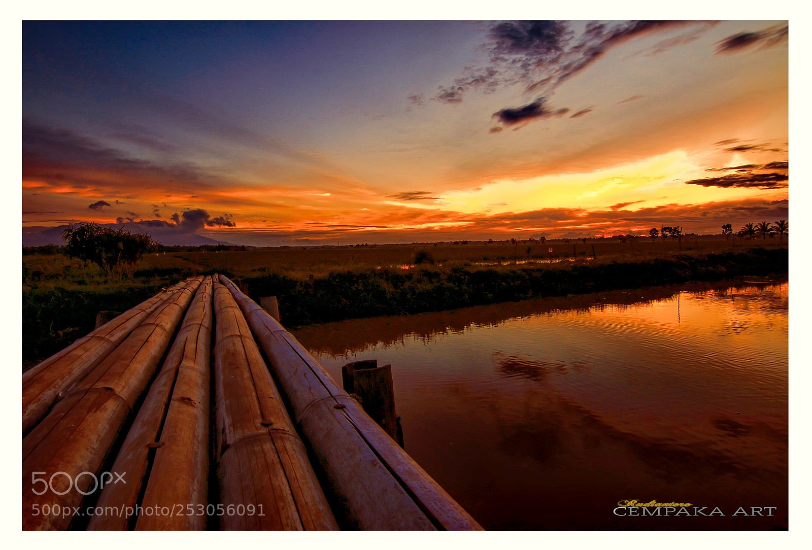 Canon EOS 70D sample photo. Golden hours photography