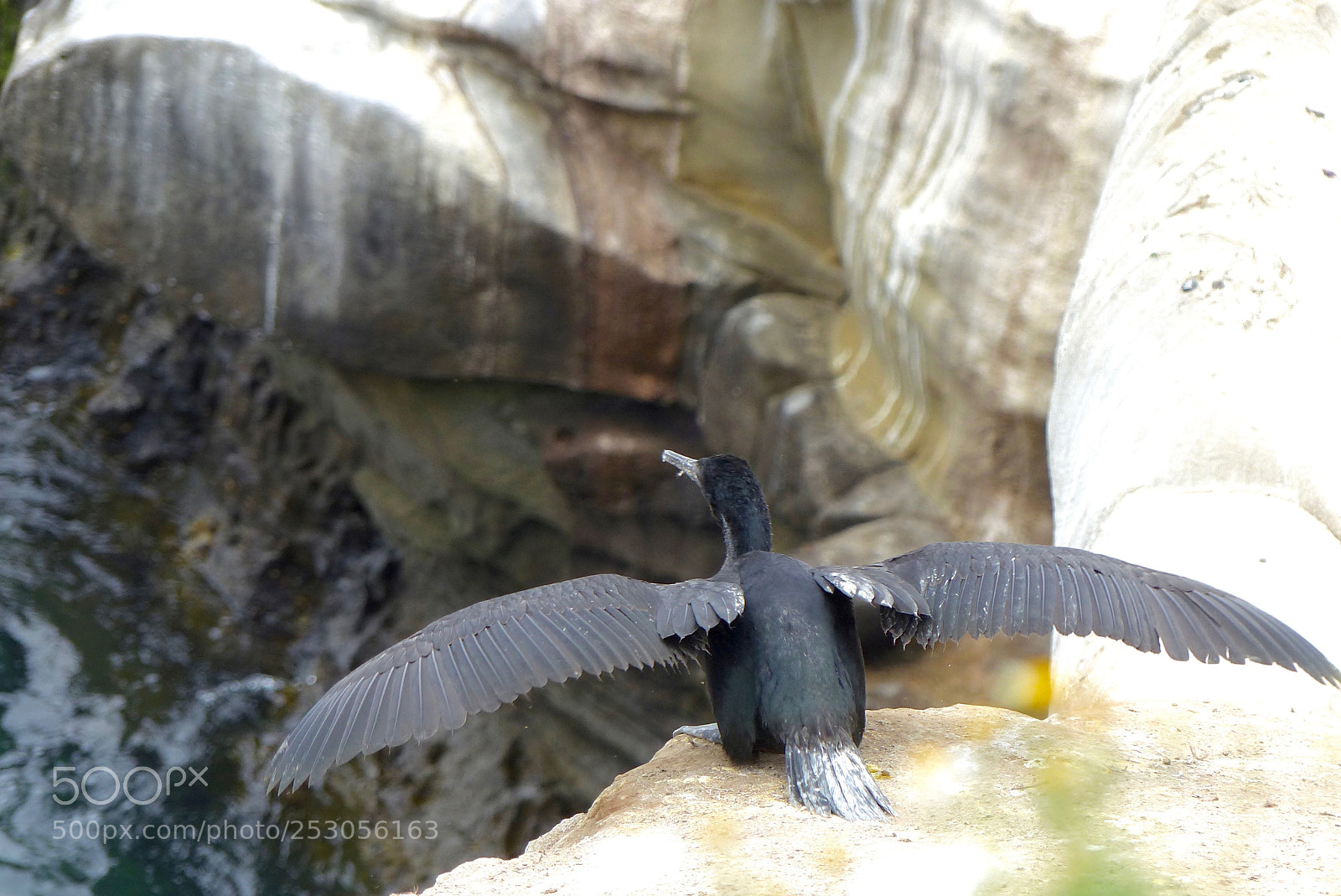 Panasonic Lumix DMC-FZ200 sample photo. First flight 7 photography