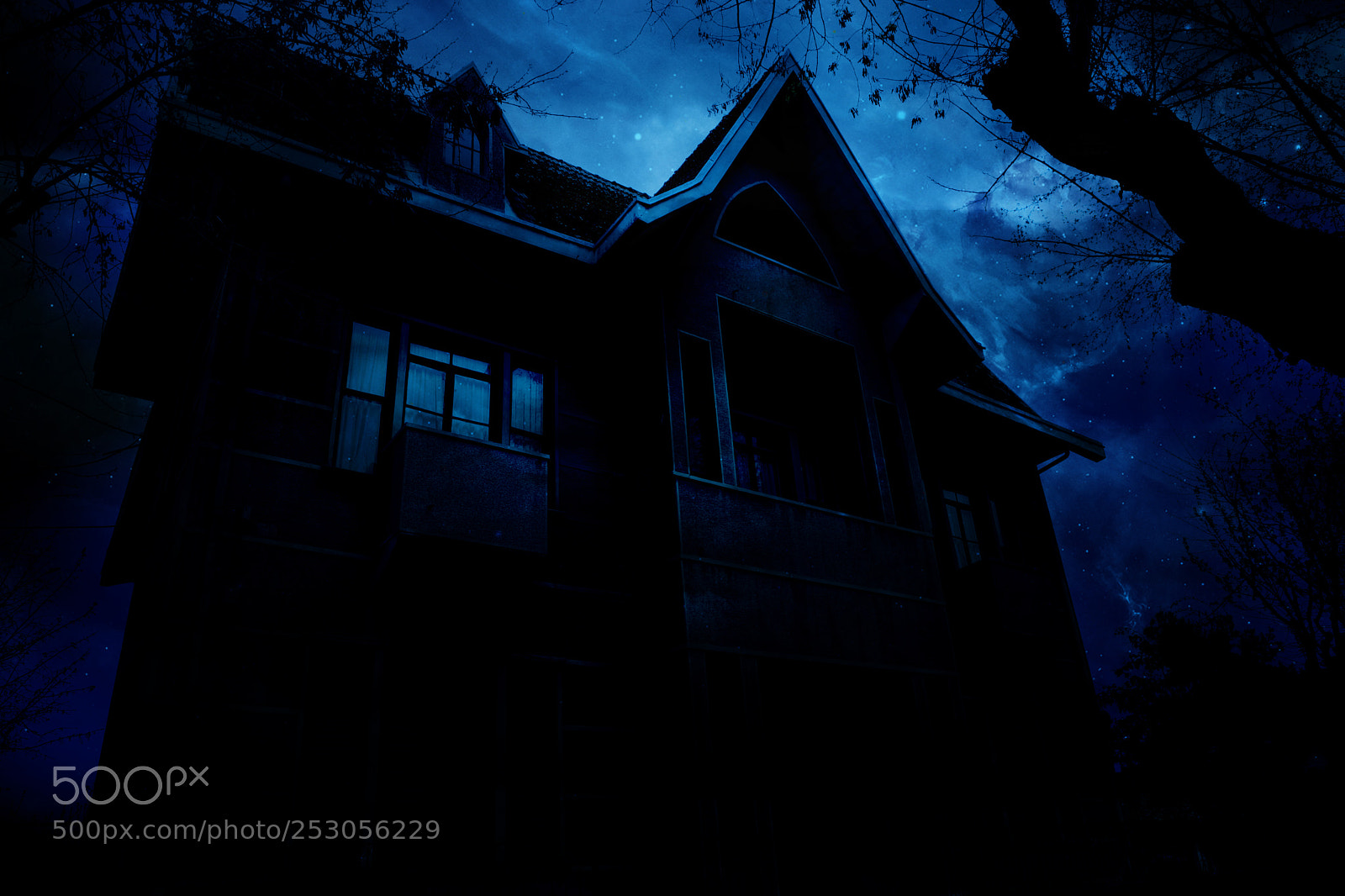 Canon EOS 5D Mark II sample photo. Deo photography