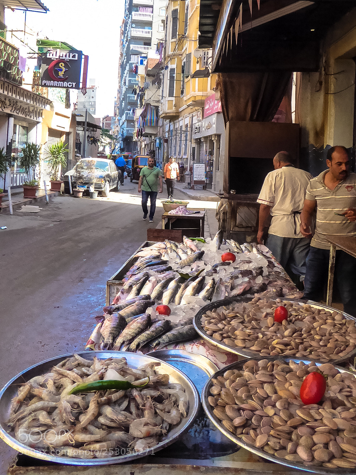 Panasonic Lumix DMC-ZS50 (Lumix DMC-TZ70) sample photo. Alexandria photography