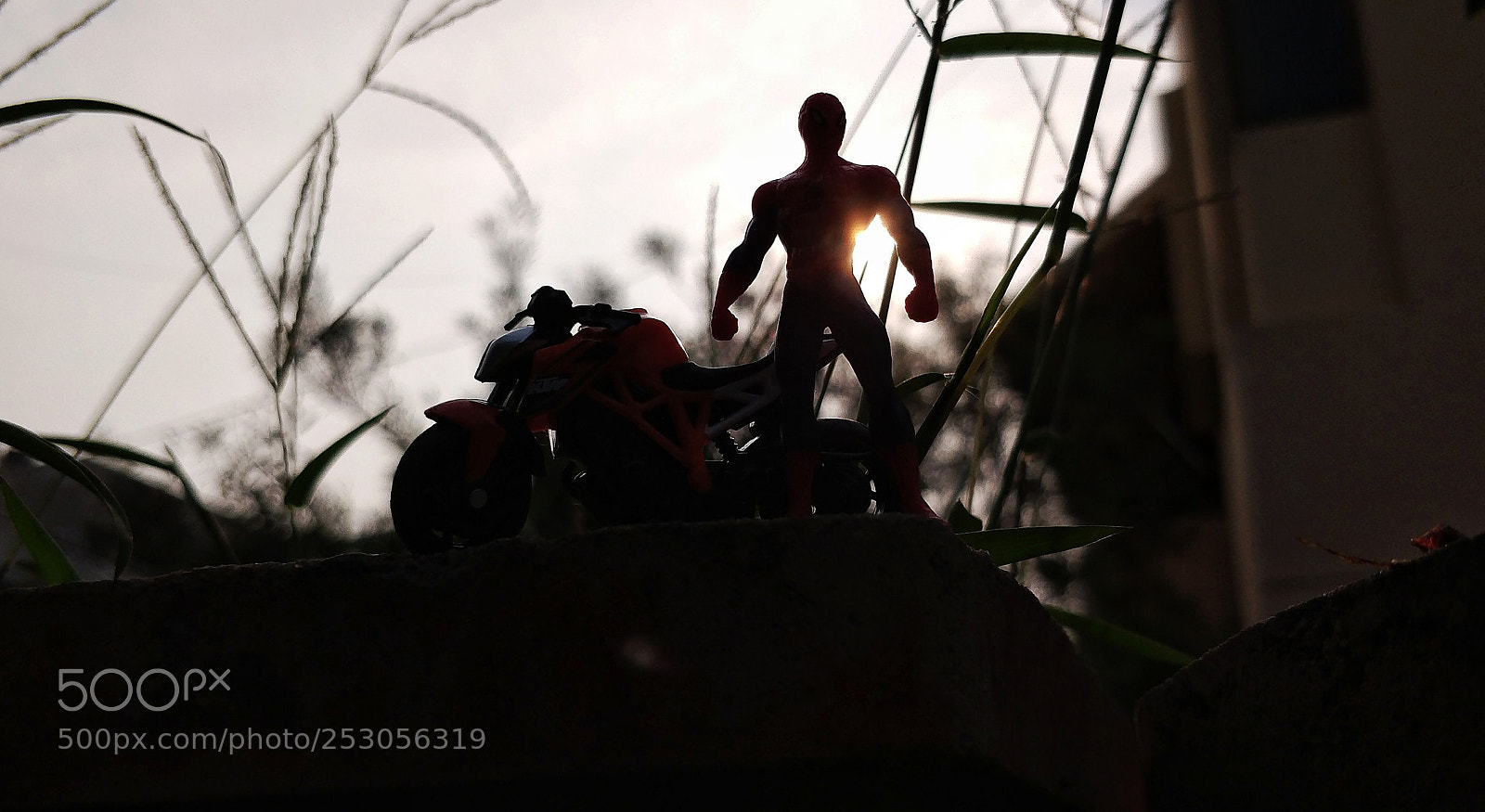 OnePlus 5T sample photo. Bike ride or swing photography