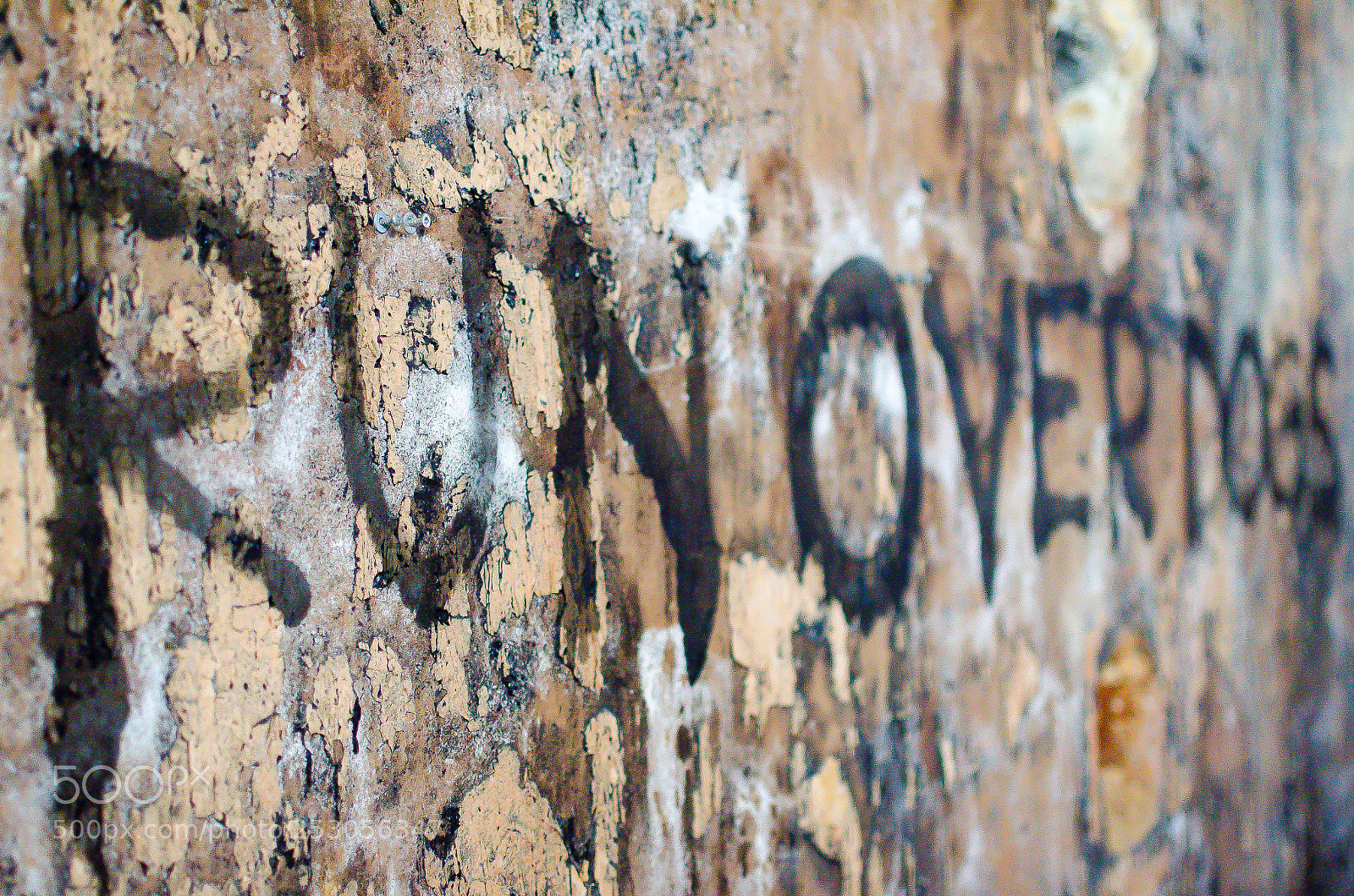 Nikon D7000 sample photo. Run over photography
