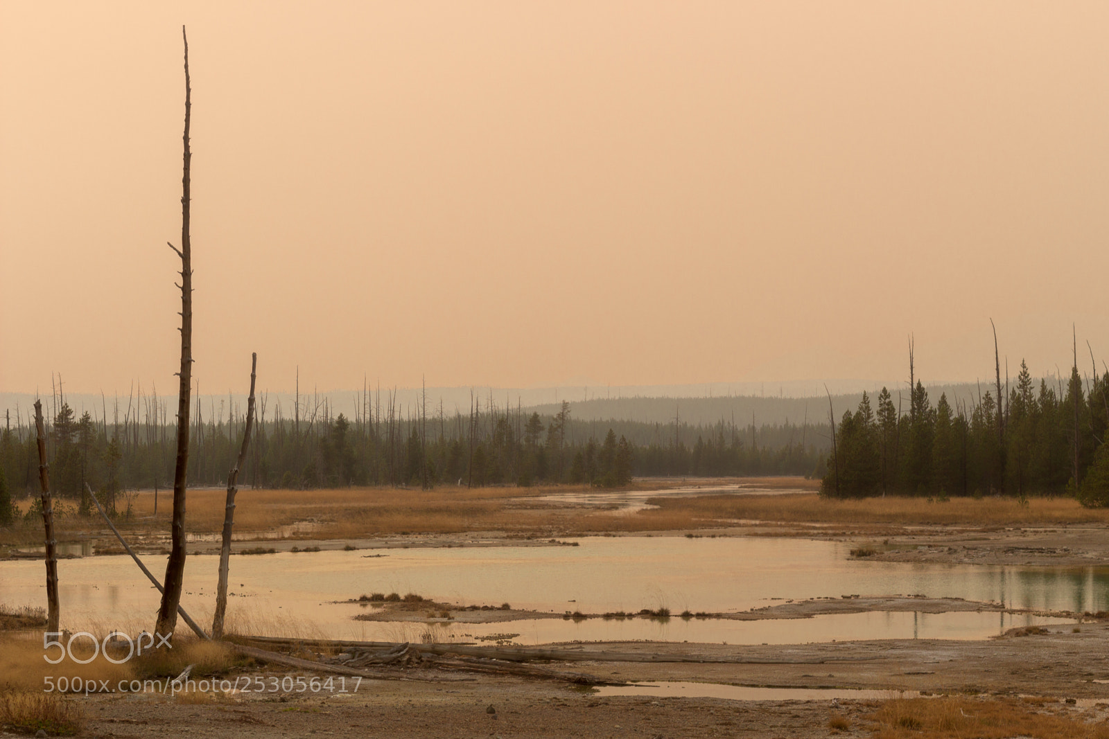 Canon EOS 100D (EOS Rebel SL1 / EOS Kiss X7) sample photo. Yellowstone haze photography