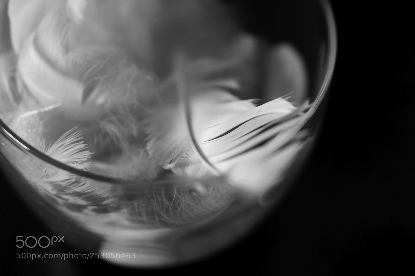 Sony a6000 sample photo. Bowl of feathers photography