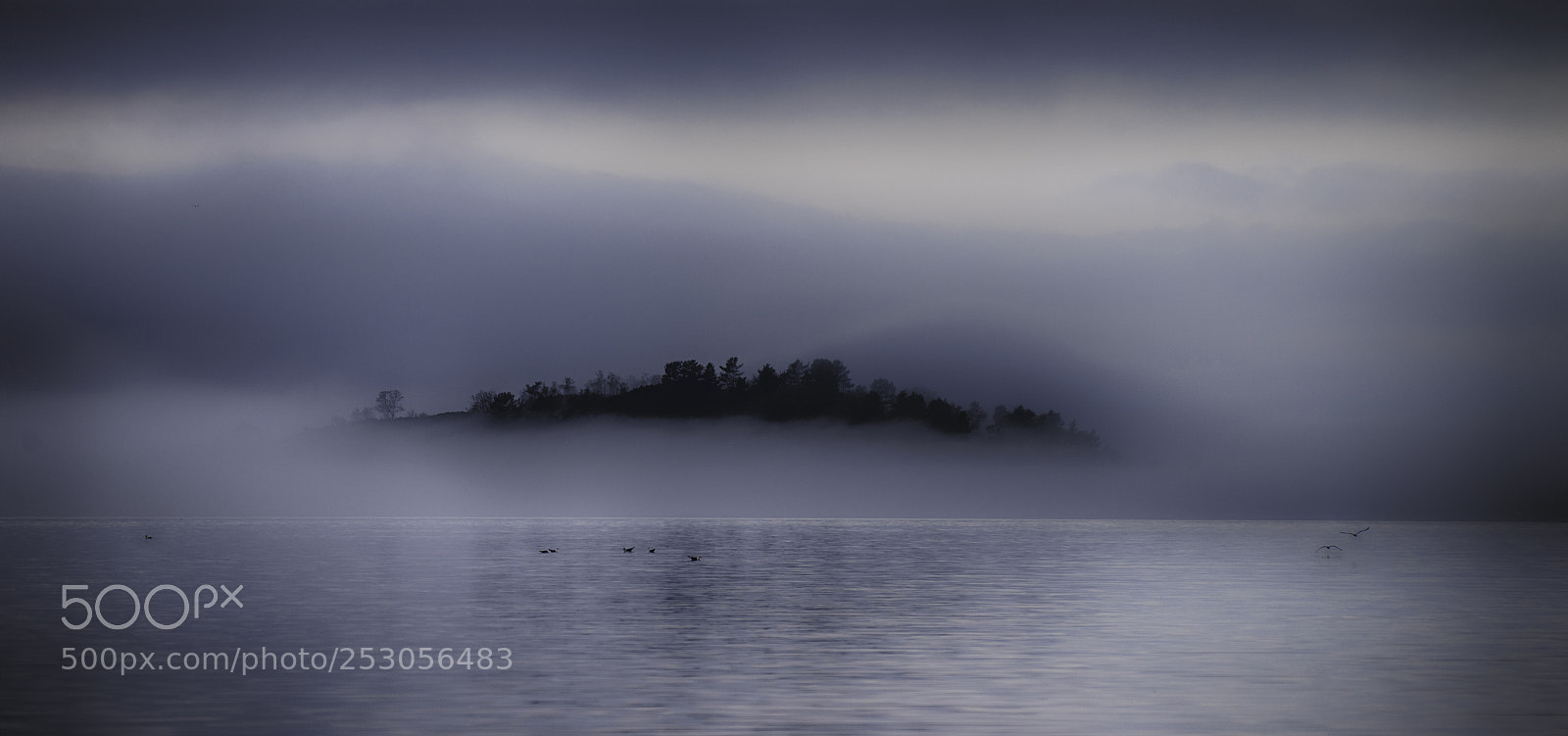 Nikon D800 sample photo. Fog photography