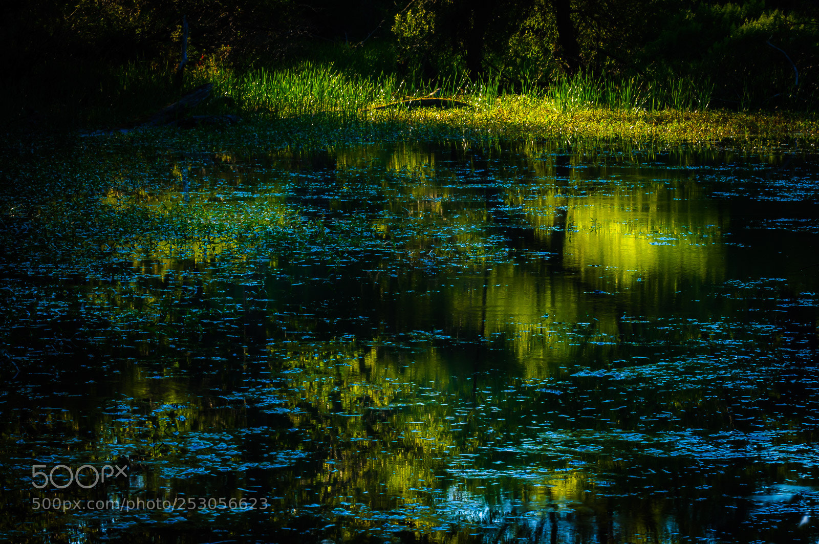 Nikon D300S sample photo. Nature photography