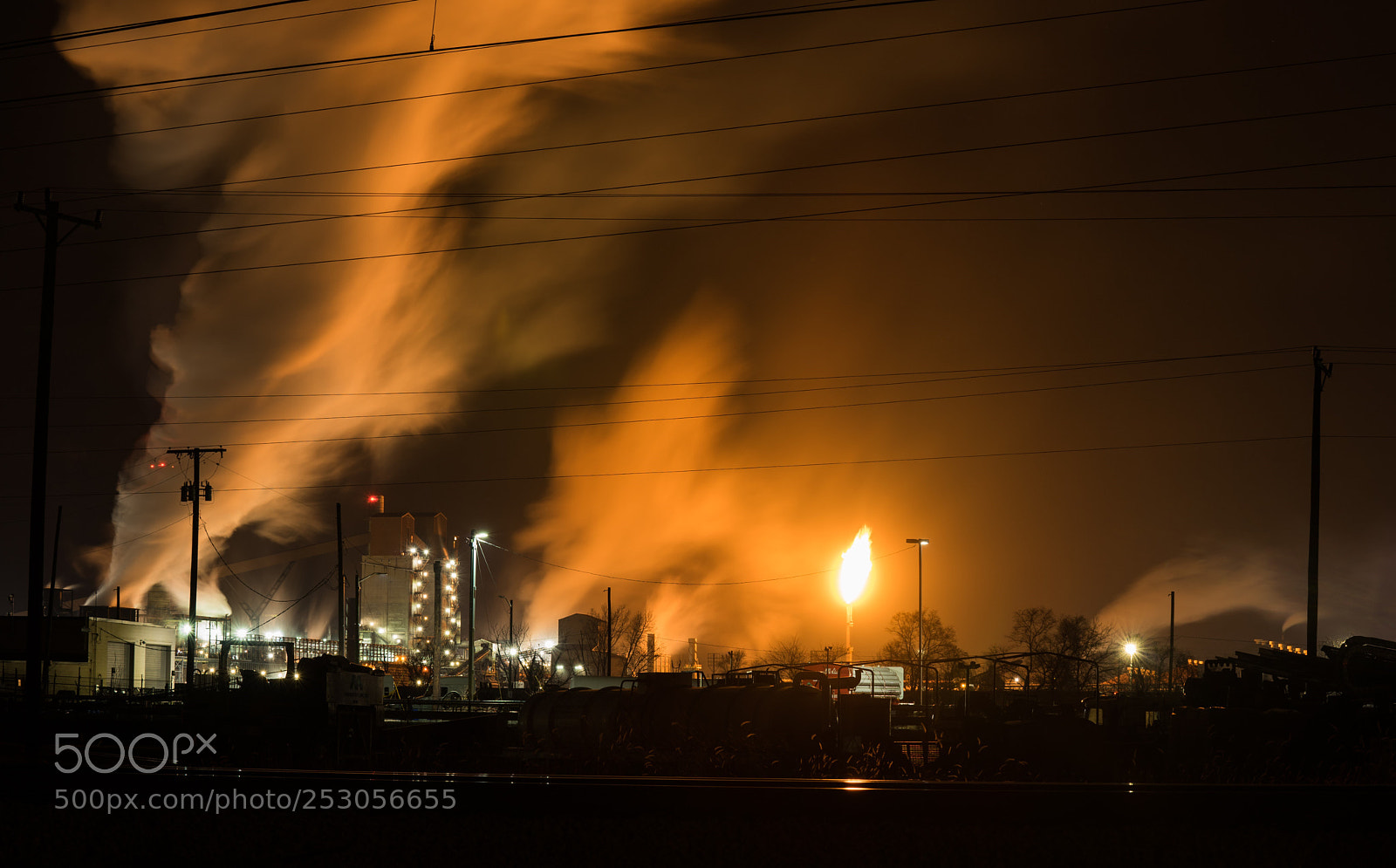 Sony a7 II sample photo. Carry a torch photography