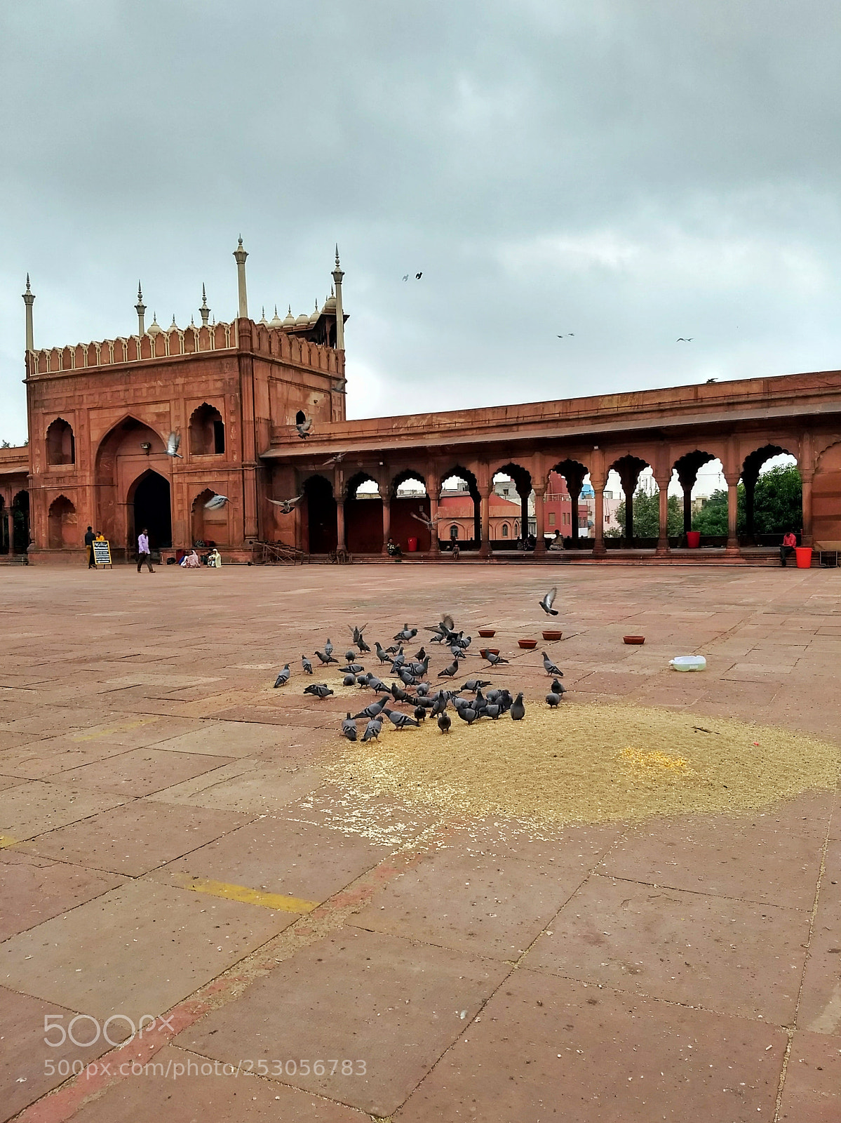 Motorola Moto G (5) Plus sample photo. Untitled photography