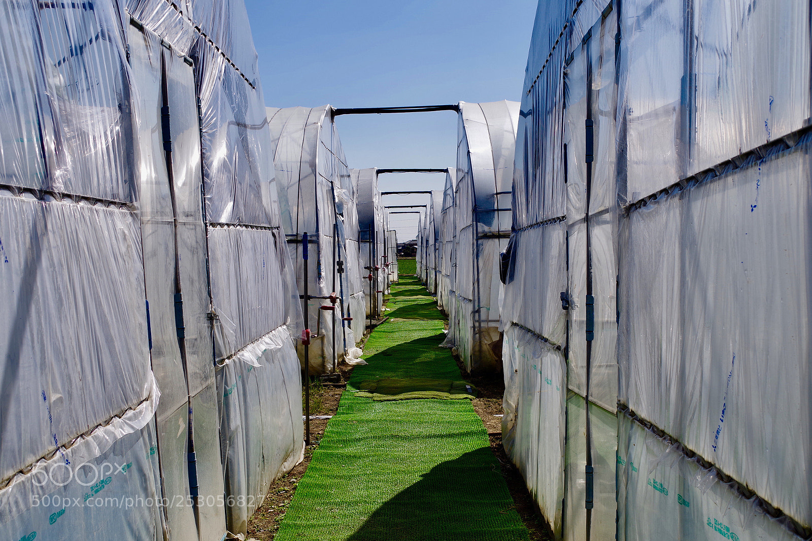 Pentax K-S2 sample photo. Symmetry? photography