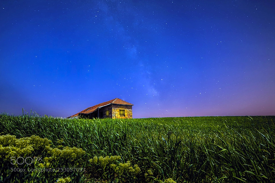 Canon EOS 70D sample photo. Dream nights photography