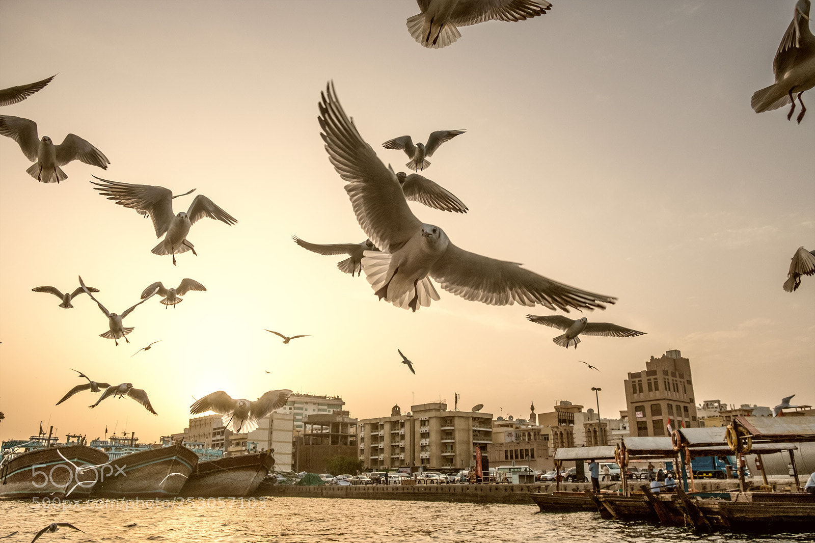 Fujifilm X-T2 sample photo. The water taxi mob. photography
