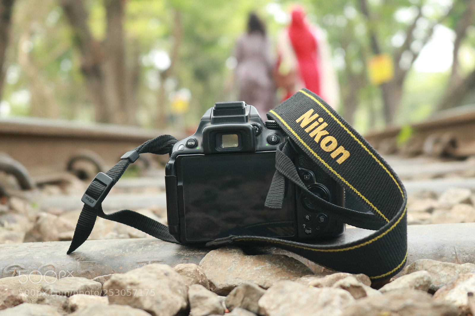 Canon EOS 750D (EOS Rebel T6i / EOS Kiss X8i) sample photo. I am nikon photography