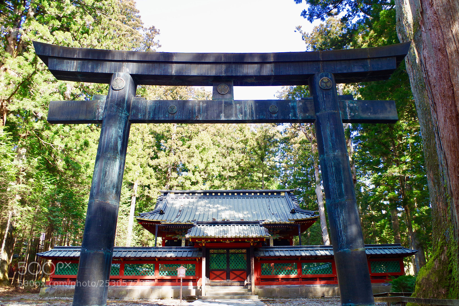 Pentax K-S2 sample photo. The gate. photography