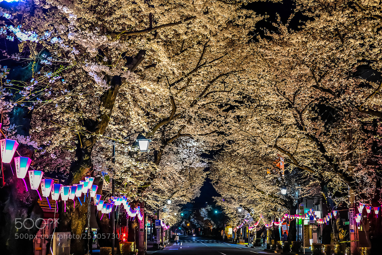 Fujifilm X-T2 sample photo. Higashimurayama tokyo photography