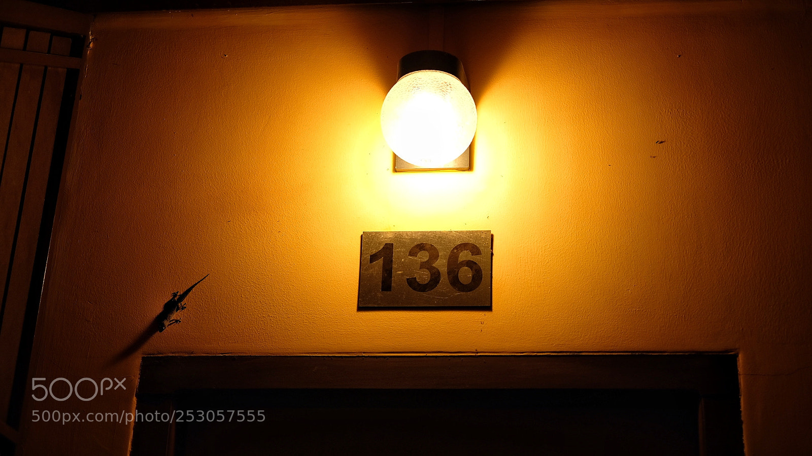 Fujifilm X-T20 sample photo. Orange and gecko photography