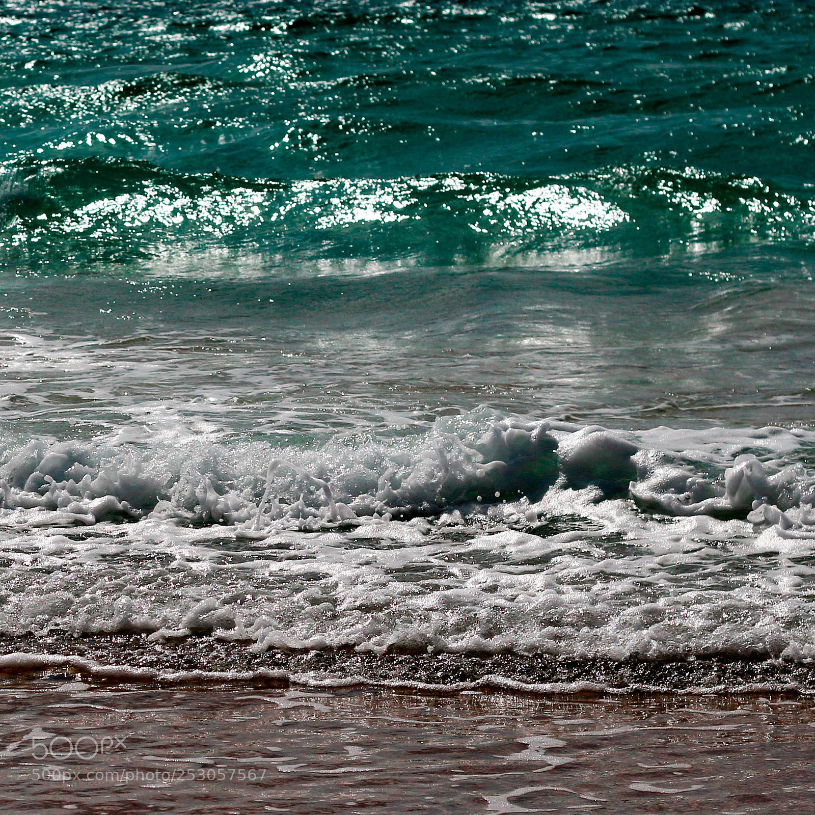 Canon EOS 70D sample photo. Untitled photography
